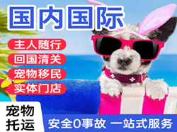 常州奔牛航空运输国际宠物托运 【国